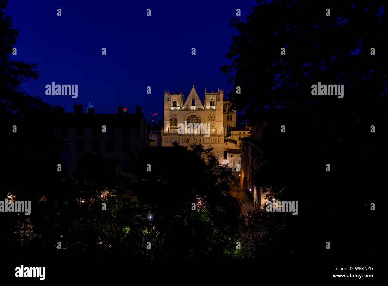 Laub framing einen Ausblick auf die Kathedrale Hauptfassade mit dunkelblauen Himmel, Lyon, Frankreich. Stockfoto