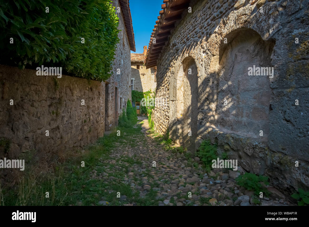 Schmale Gasse gepflastert mit Kieselsteinen und drangen mit Pflanzen, am Ende der Sommernachmittag, Perouges, Frankreich Stockfoto