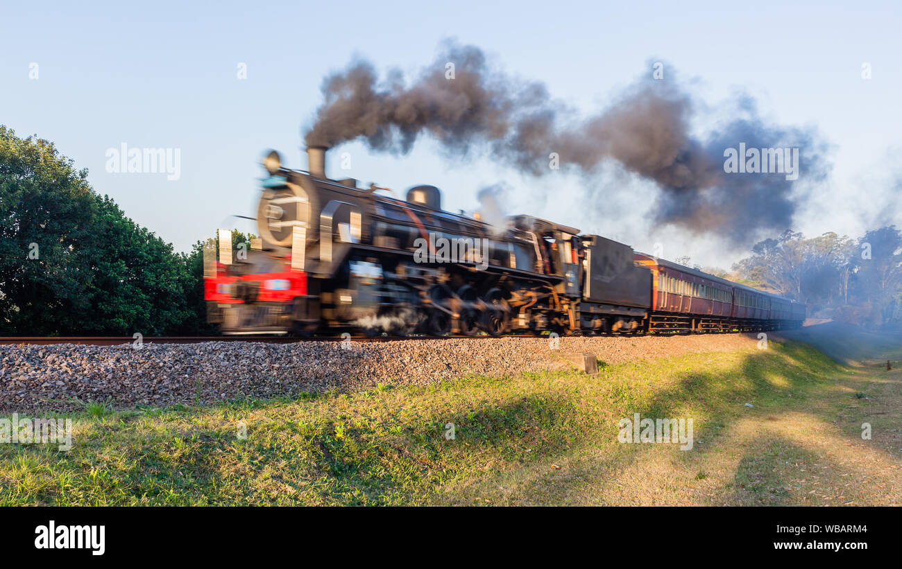 Dampflok Lok mit Tourismus Trainer closeup Bewegungsunschärfe auf Land rail line travel Route. Stockfoto