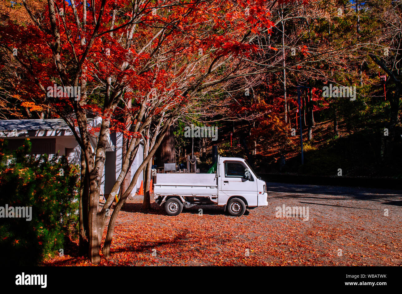Leuchtend rote Herbst Ahorn und weißen Pickup truck in der Chureito Pagode Arakurayama Sengen Park in Fujiyoshida Shimoyoshida - Stockfoto