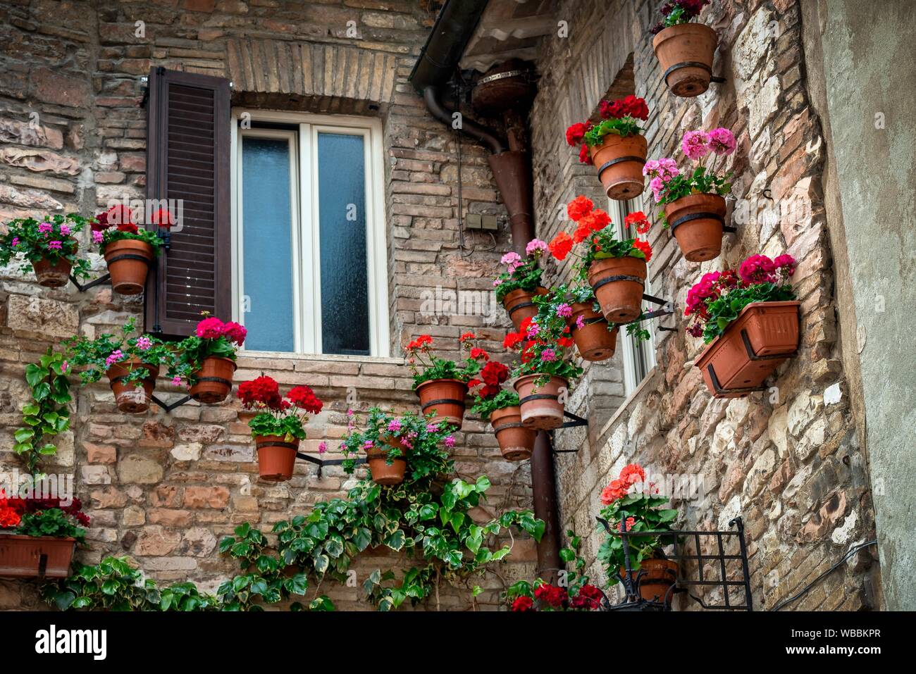 Blumen schmücken die Wand eines Hauses in Assisi Umbrien Italien Worlld Lage. Stockfoto