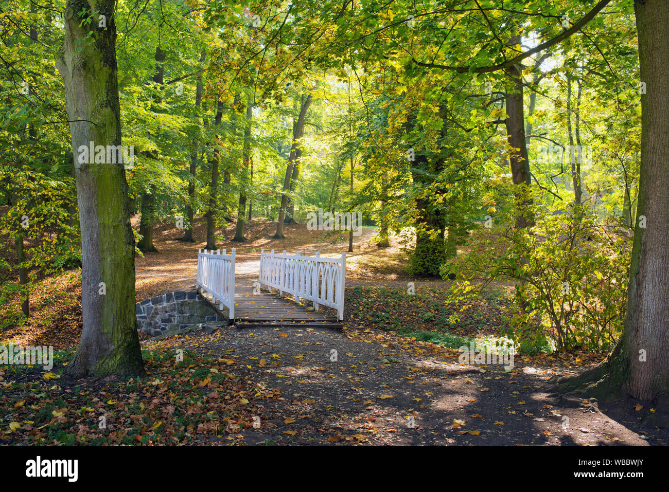 Weiß woden Brücke im Park im Herbst Saison. Stockfoto