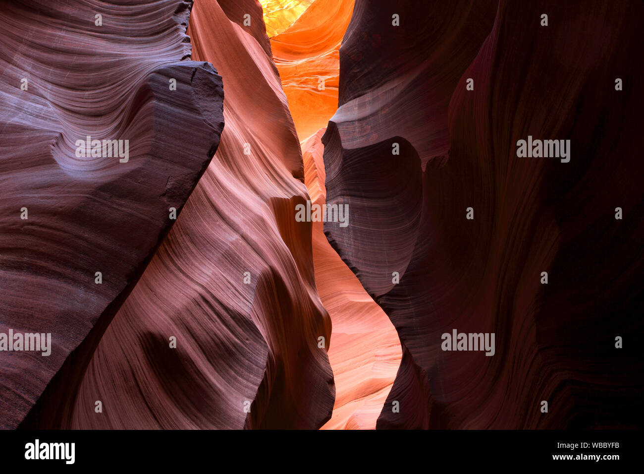 Anmutigen Kurven von Sandsteinfelsen im Lower Antelope Canyon, Page, Arizona, USA Stockfoto