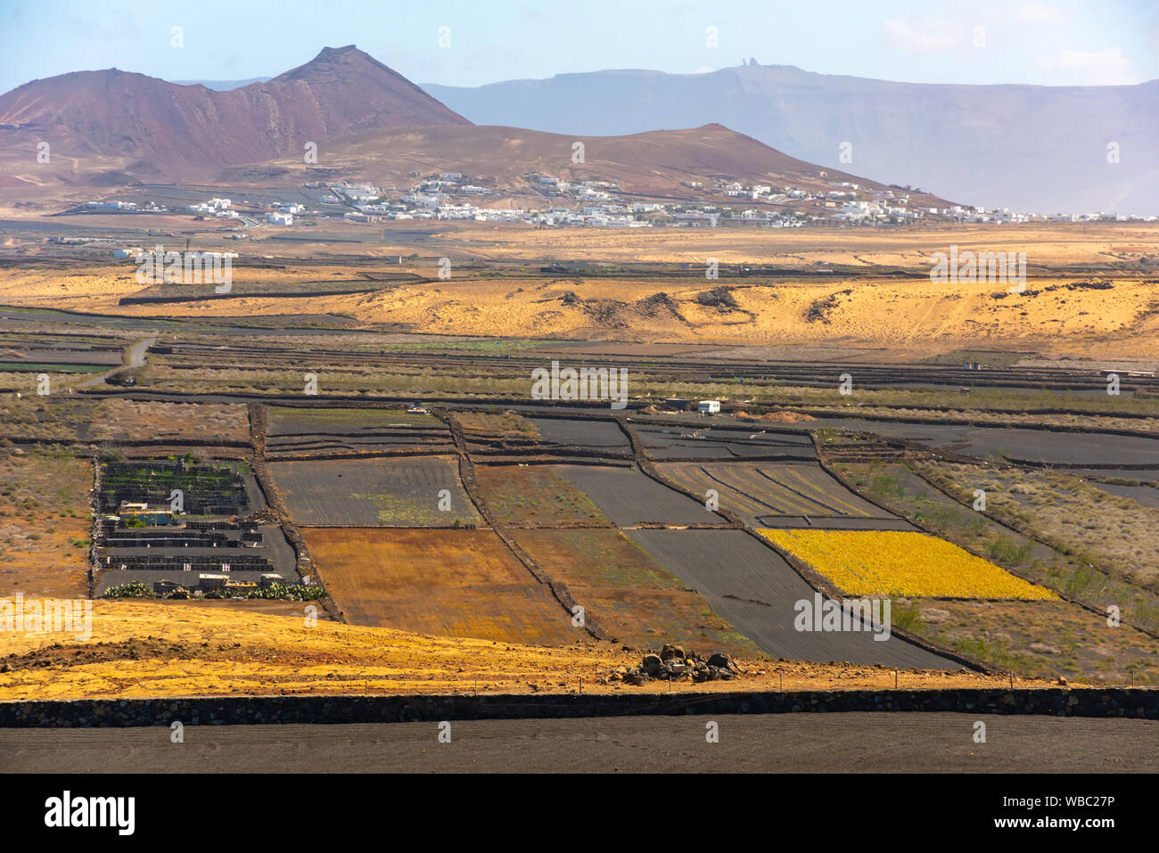 Trockene vulkanischen ccultivated Felder Insel Lanzarote Spanien. Stockfoto