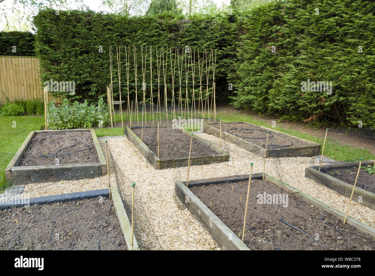 Holz hochbeete Fotos und Bildmaterial in hoher Auflösung Alamy
