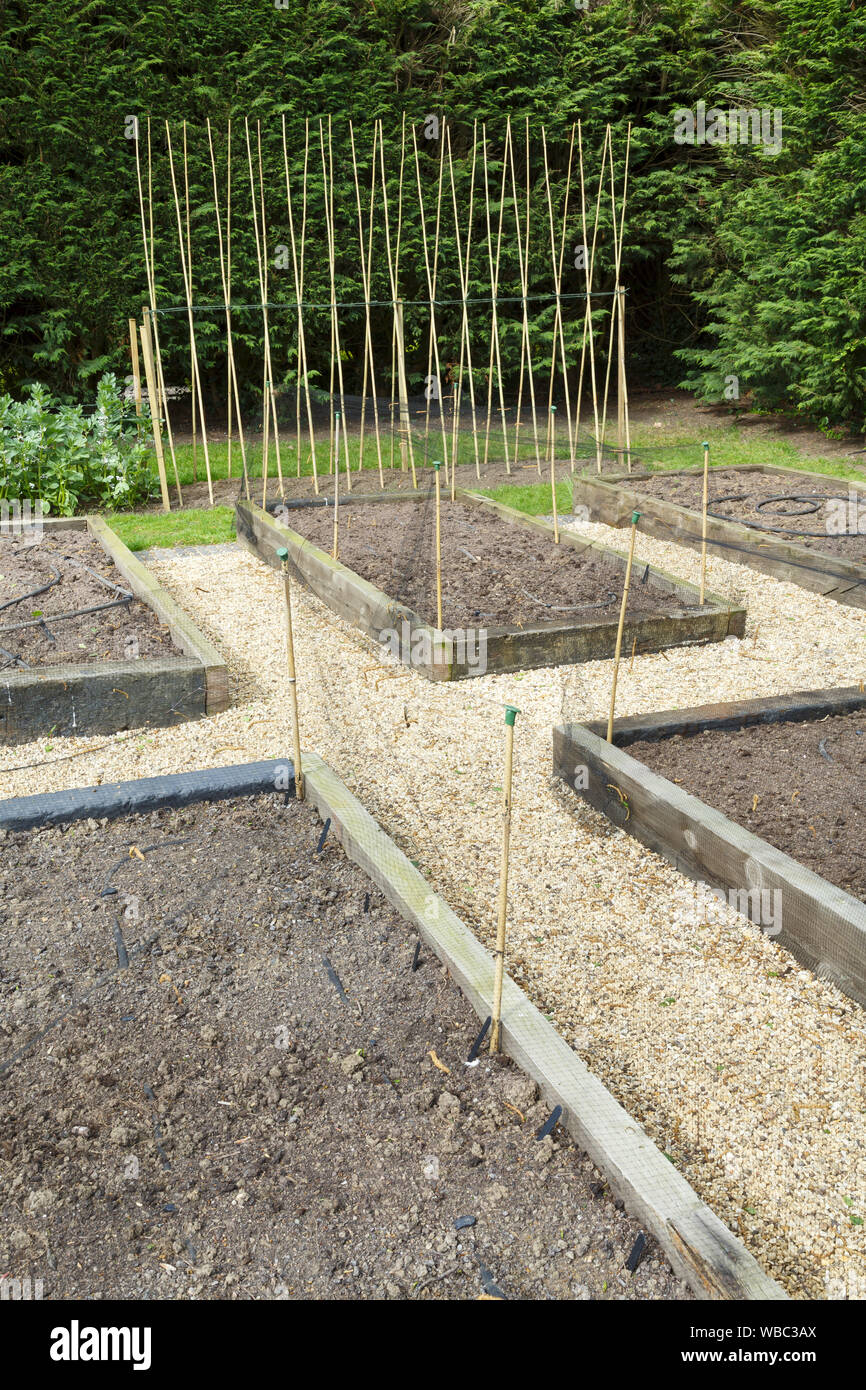 Planung und Vorbereitung ein Gemüsegarten mit erhöhten Betten Stockfoto