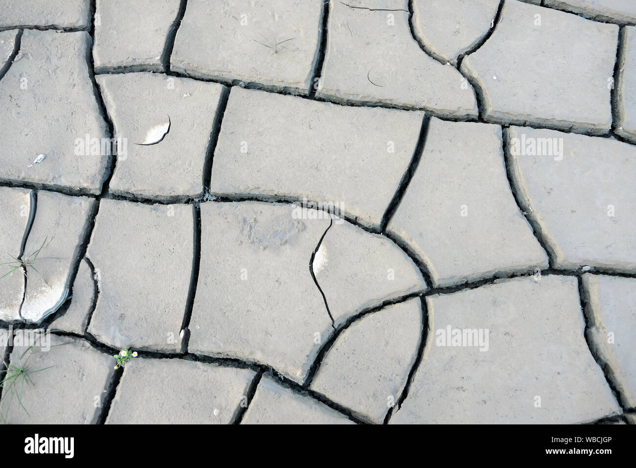 Der globale Klimawandel ist eine Bedrohung für die Welt. Ablagerungen der entwässerten Böden bilden interessante Formen Stockfoto