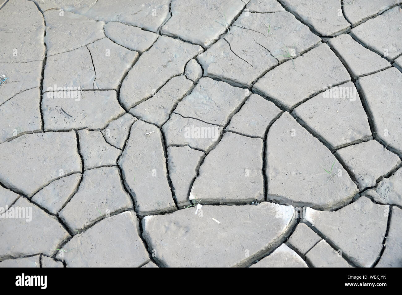 Der globale Klimawandel ist eine Bedrohung für die Welt. Ablagerungen der entwässerten Böden bilden interessante Formen Stockfoto