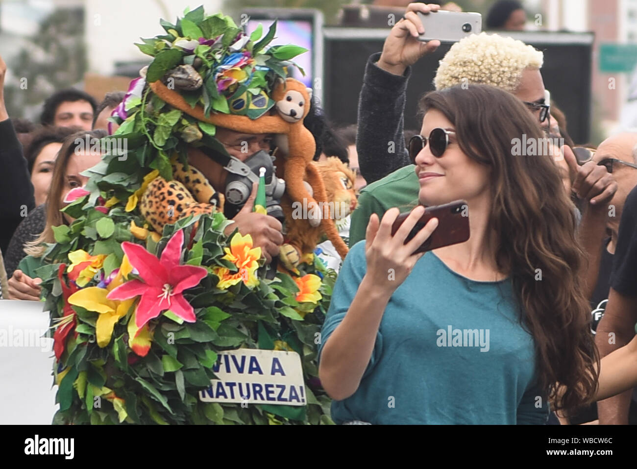 RIO DE JANEIRO, BRASILIEN, August, 25, 2019: Protest für den Amazonas-regenwald gegen brennen und Abholzung und gegen die Regierung Bolsonaro Stockfoto