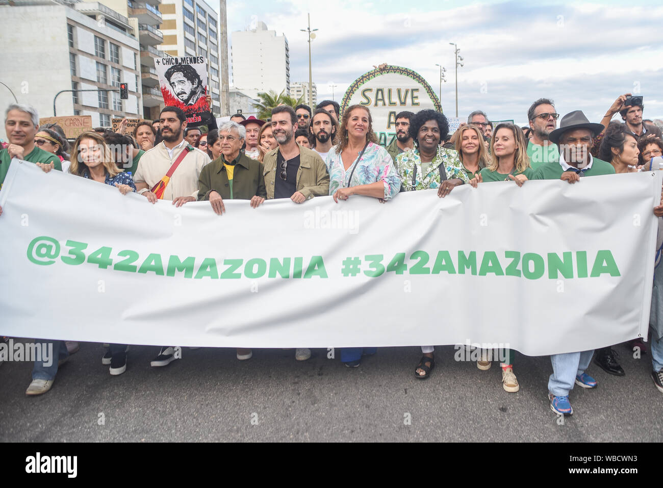 RIO DE JANEIRO, BRASILIEN, August, 25, 2019: Protest für den Amazonas-regenwald gegen brennen und Abholzung und gegen die Regierung Bolsonaro Stockfoto