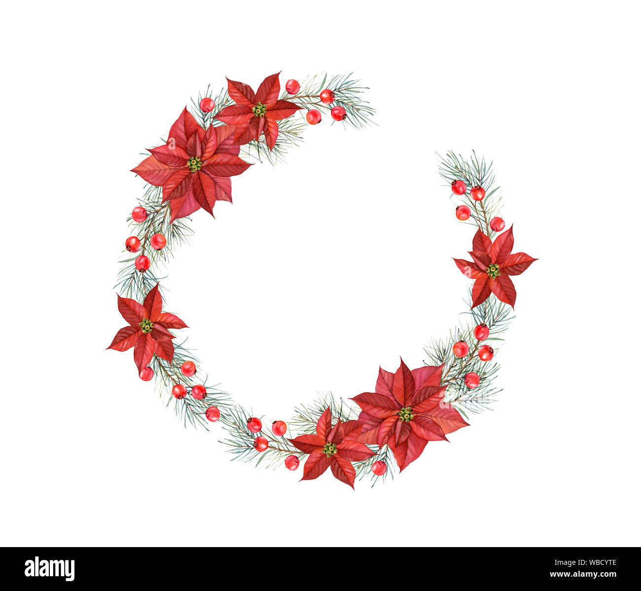 Weihnachten aquarell Kranz. Hand gemalte Illustration mit Pinie, roten  Beeren und Weihnachtsstern. Winter Urlaub auf weiem Hintergrund fr  isolierte Stockfotografie - Alamy