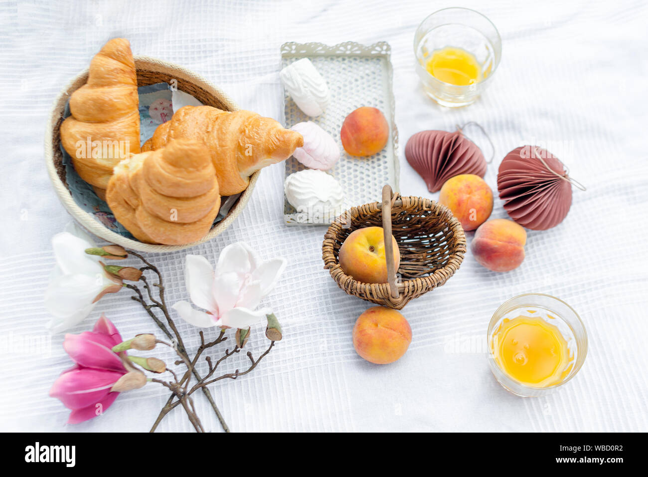 Gesund Sommer Picknick auf einem weißen Tuch auf grünem Gras mit Croissants, frisches Obst, Saft und Marshmallows. Party im Freien im Garten. Stockfoto