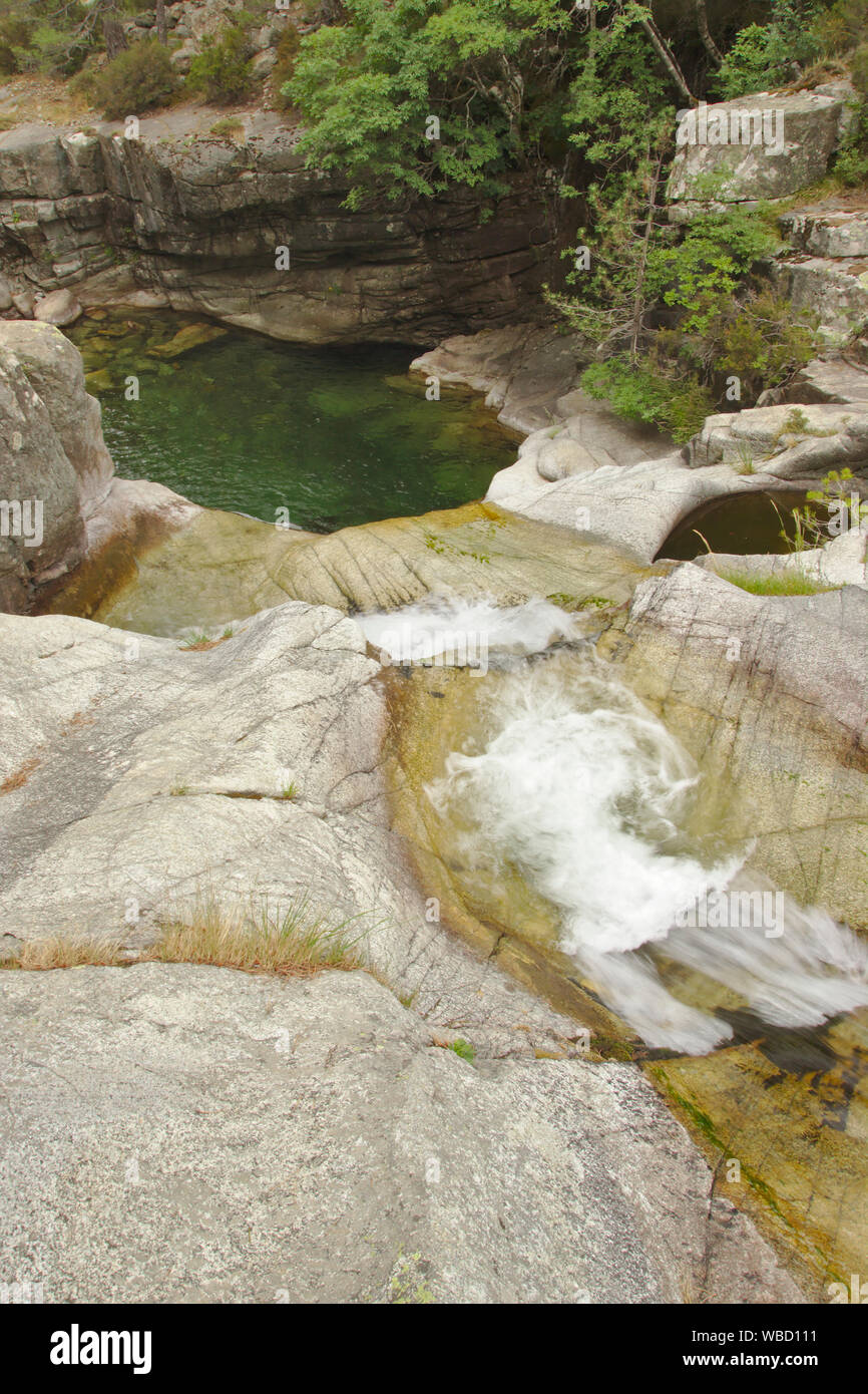 Natürlichen pool im Ruisseau de Manganello auf GR 20, Wald von Venaco, Frankreich, Korsika, GR 20. Stockfoto