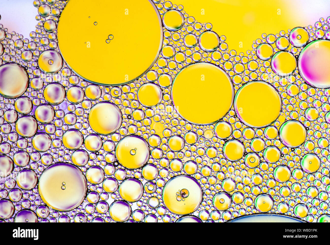 Mehrfarbige Blasenmuster, die durch auf Wasser schwimmendes Öl entstehen Stockfoto
