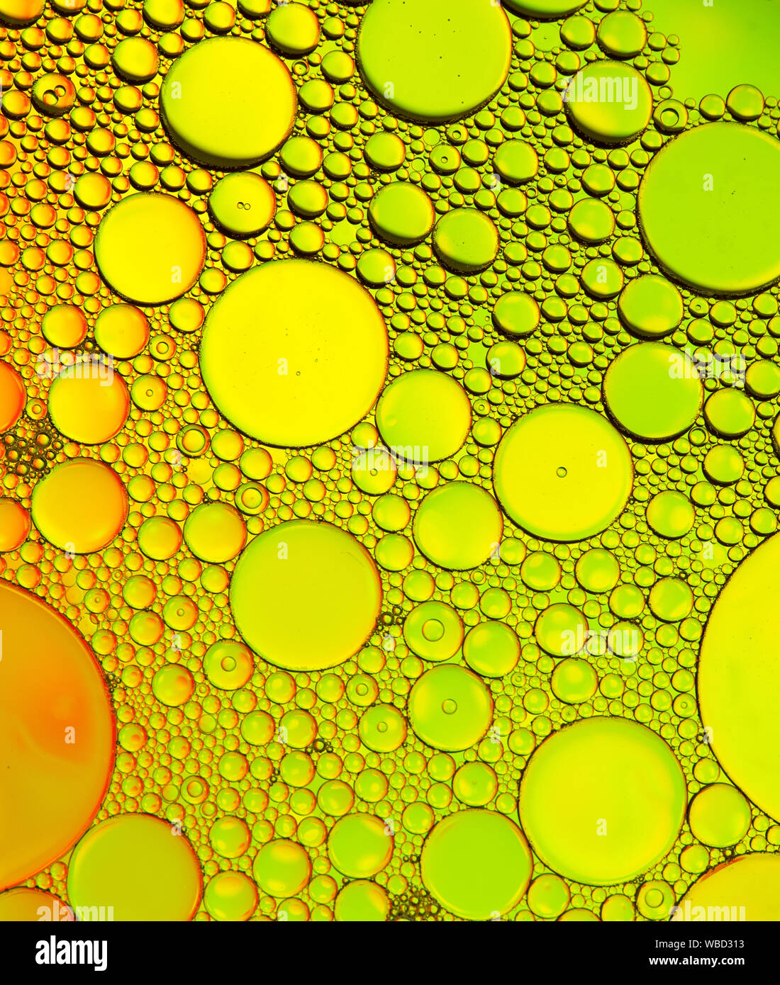 Mehrfarbige Blasenmuster, die durch auf Wasser schwimmendes Öl entstehen Stockfoto