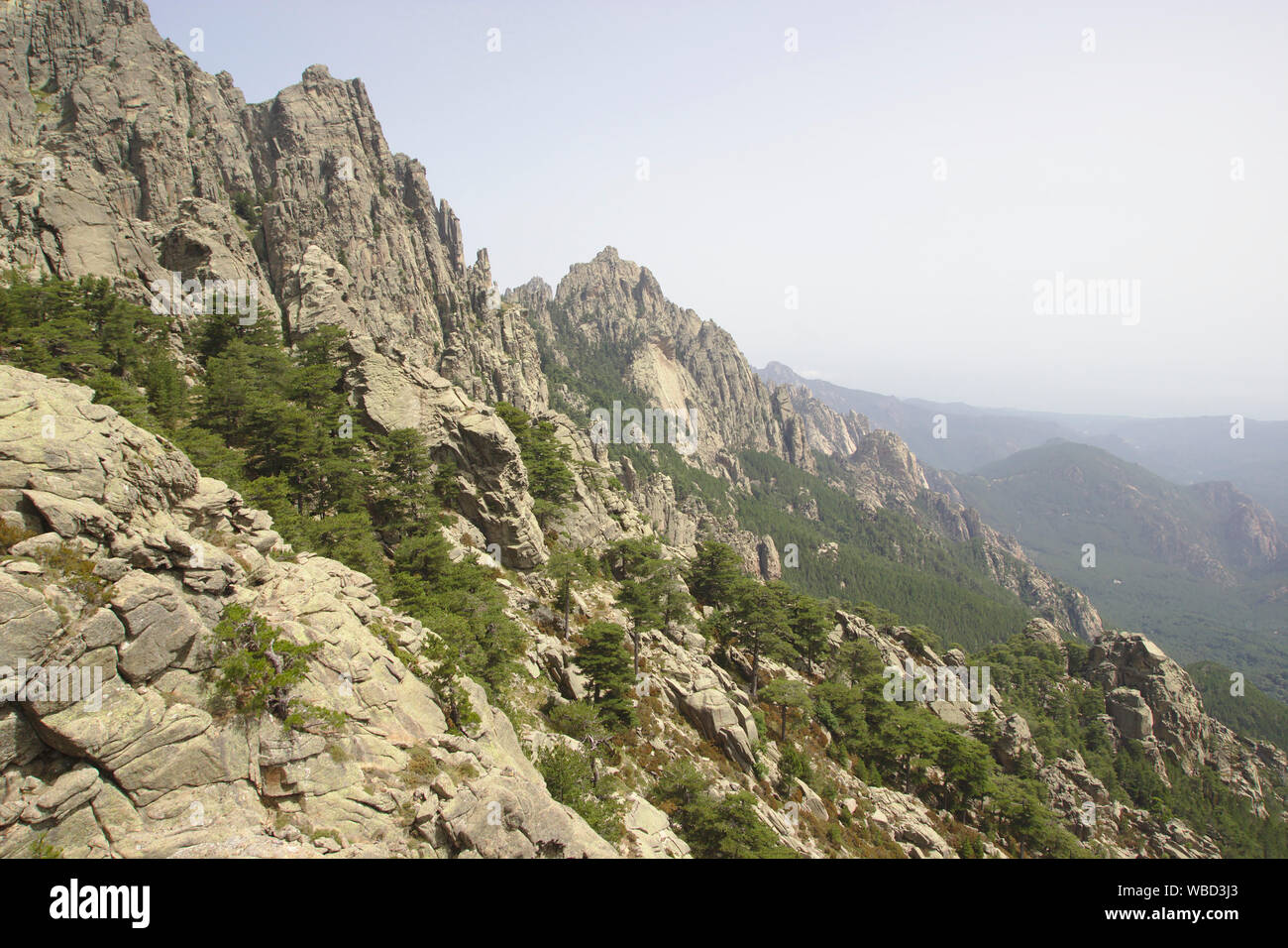 Aiguilles de Bavella, Frankreich, Korsika, alpine Variante des GR 20. Stockfoto