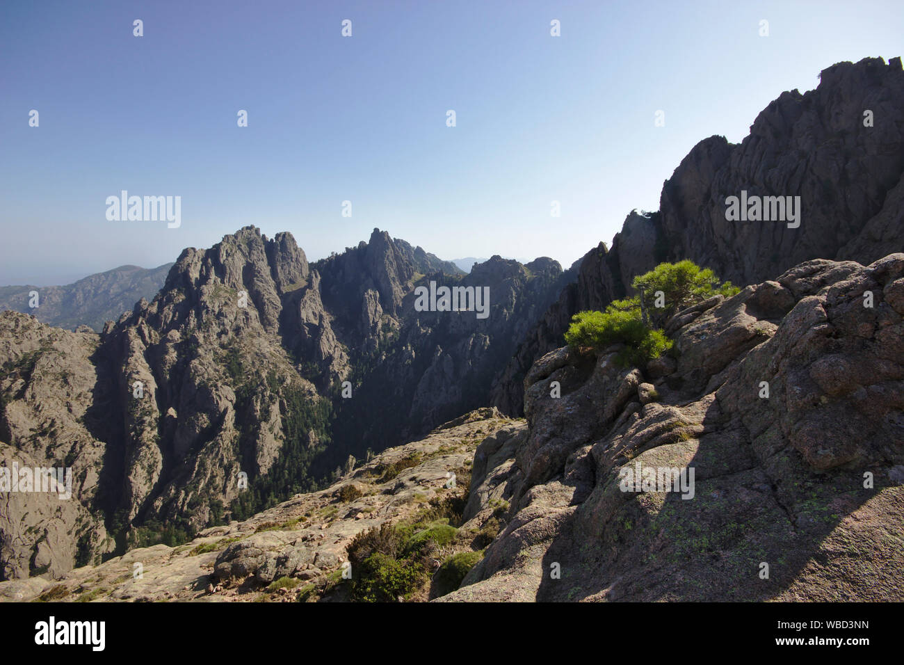 Aiguilles de Bavella von Promotoire, Frankreich, Korsika Stockfoto