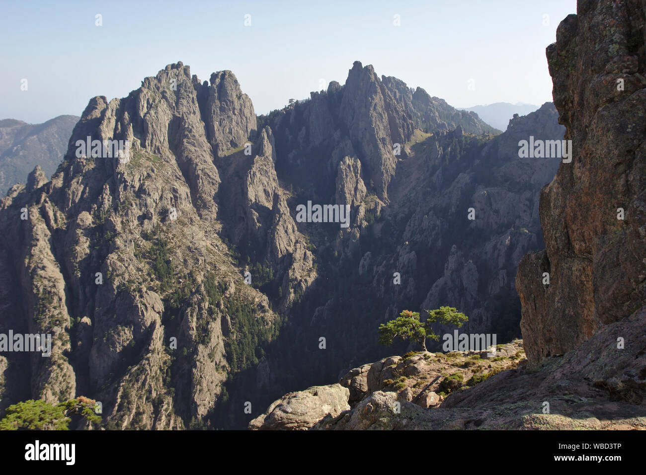 Aiguilles de Bavella von Promotoire, Frankreich, Korsika Stockfoto