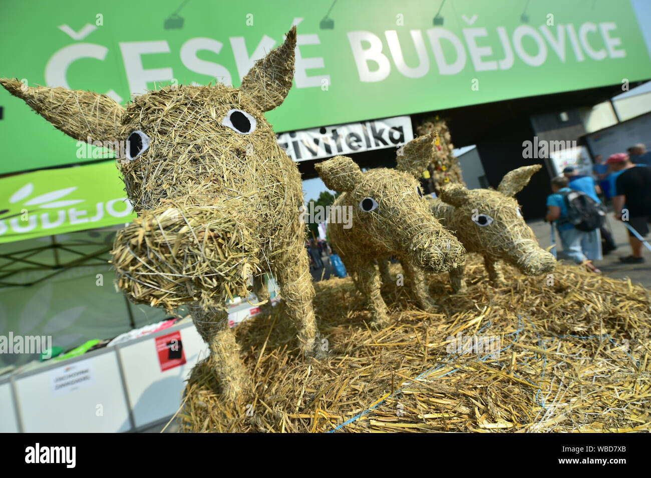 Ceske Budejovice, Tschechien. 24 Aug, 2019. Start der nationalen Harvest Festival in Zeme zivitelka Internationale landwirtschaftliche Messe in Ceske Budejovice, Tschechien, 24. August 2019. CTK Photo/Vaclav Pancer) Stockfoto