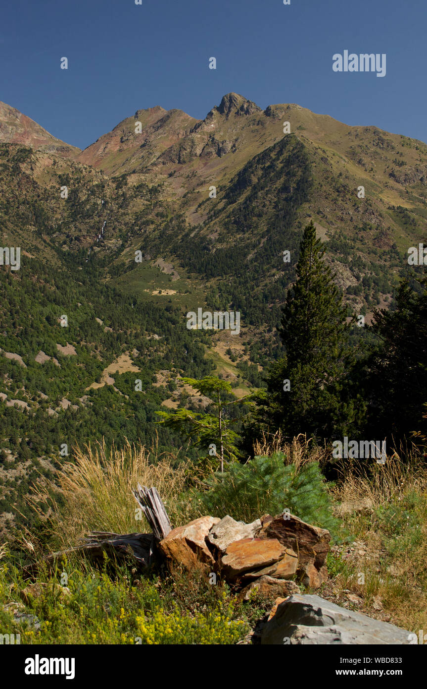 Eine weibliche Wanderer betrachtet ein See im Gerber Tal, hohe Pyrenäen, Catalunya Stockfoto