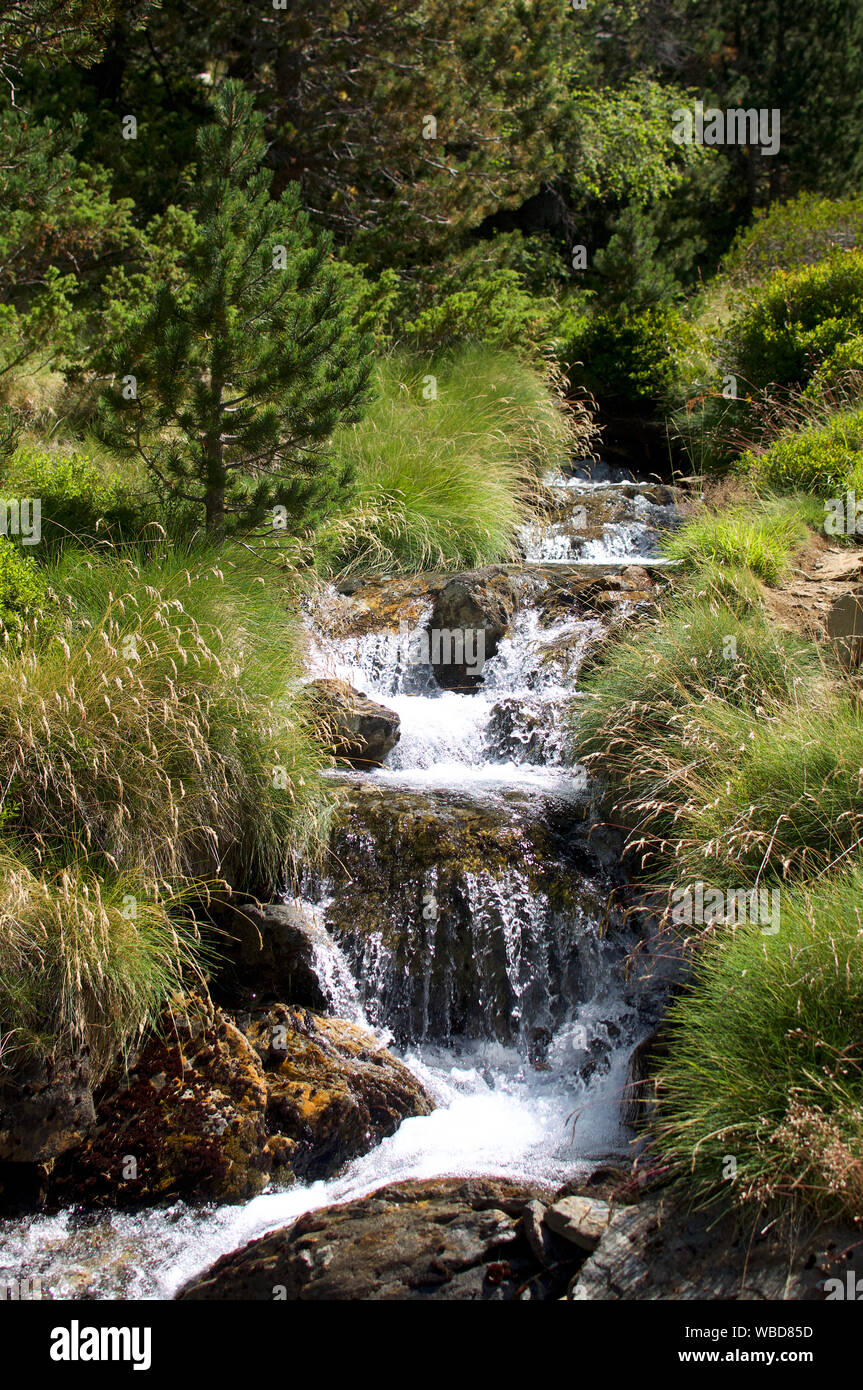 Eine weibliche Wanderer betrachtet ein See im Gerber Tal, hohe Pyrenäen, Catalunya Stockfoto