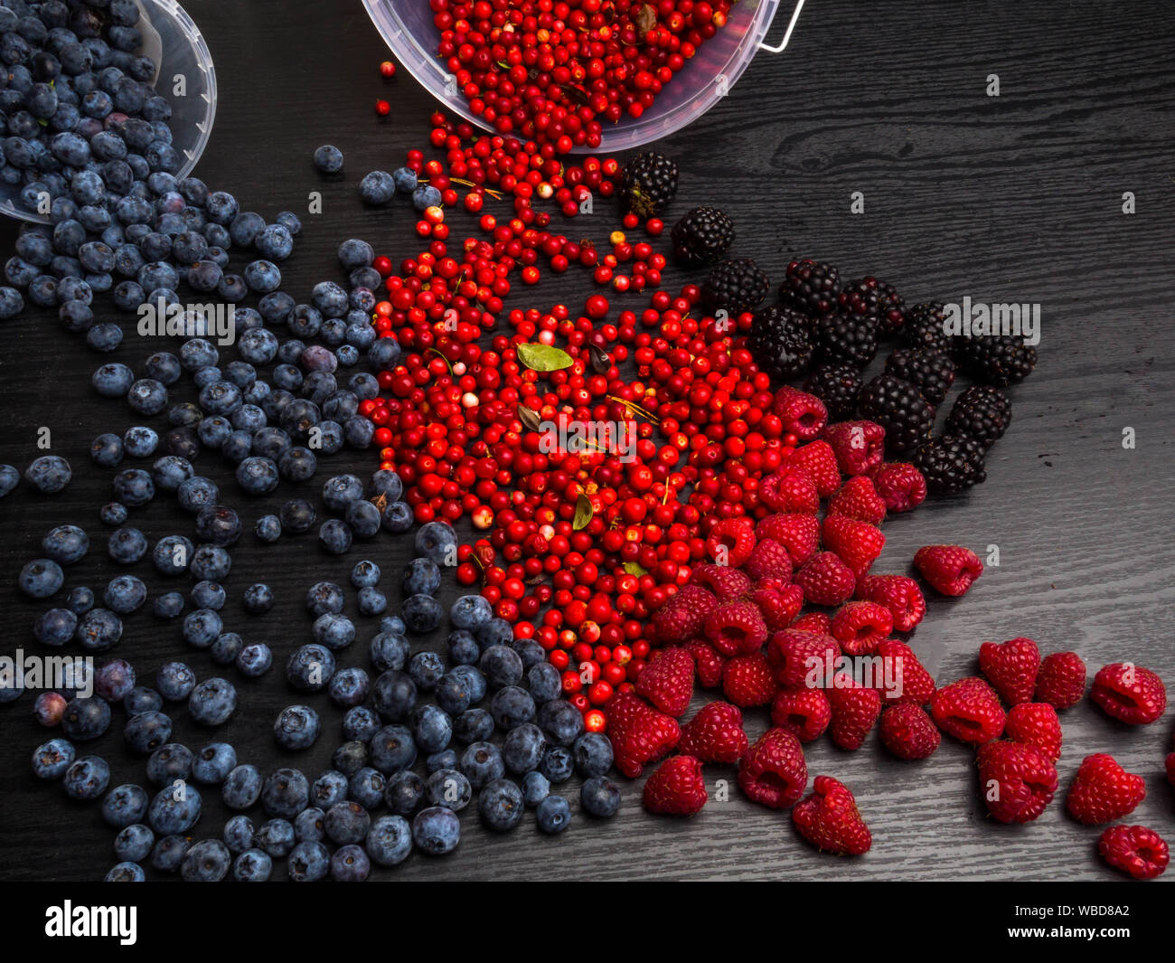 Haufen von süß und saftig Heidelbeere, Himbeere, Heidelbeere und Cranberry von Eimer auf Holz- Hintergrund verstreut. Sommer Gesunde Ernährung Konzept. Stockfoto