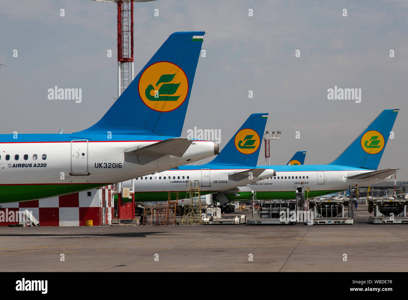 Flugzeuge, die zu Uzbekistan Airways am Flughafen Taschkent in Usbekistan. Stockfoto