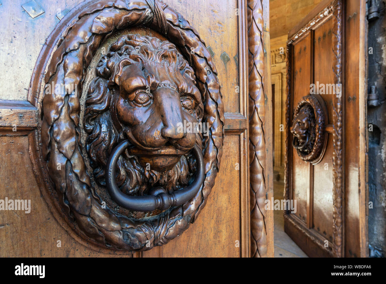 Hölzerne Eingangstür mit Löwe, Hotel de Ville, Aix-en-Provence, Frankreich Stockfoto