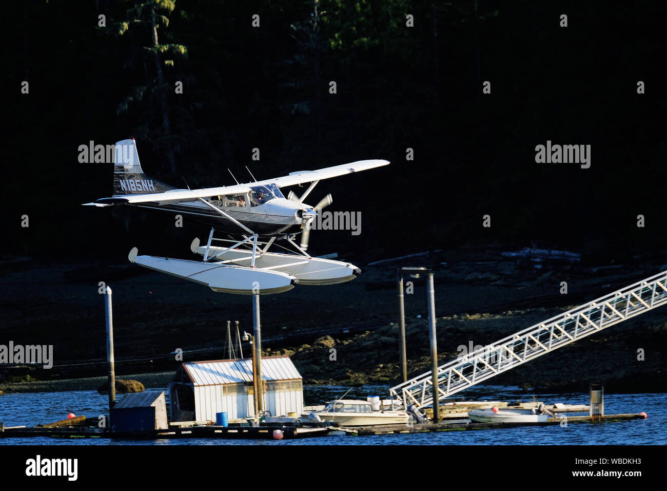 Alaskan Wasserflugzeug: Landung Stockfoto
