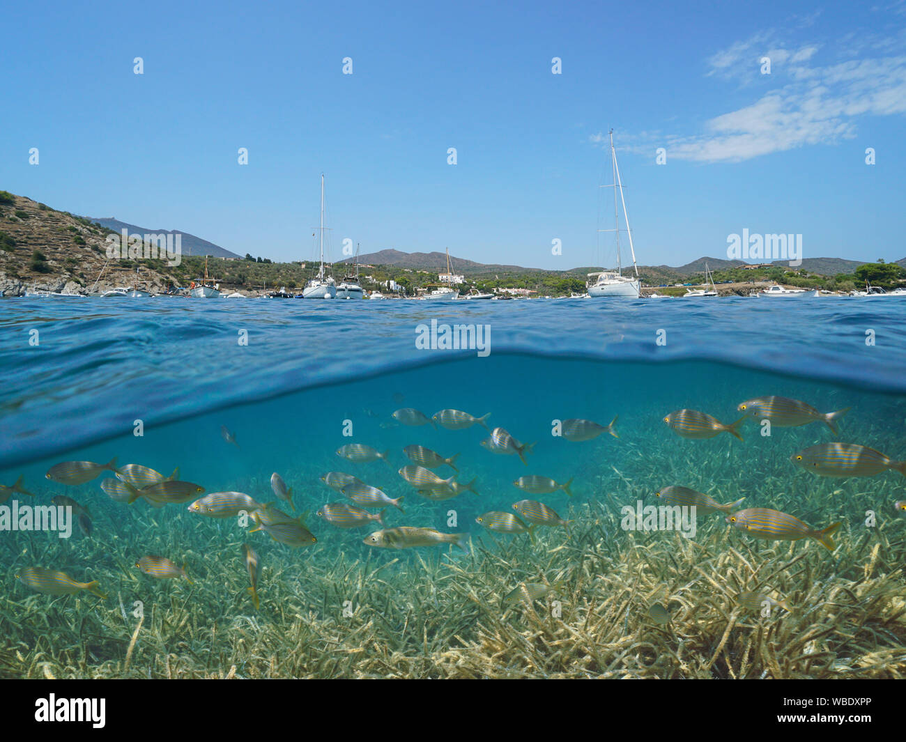 Spanien Costa Brava Cadaques, Boote in der Bucht von Portlligat günstig mit Fisch und Seegras Unterwasser, Mittelmeer, geteilte Ansicht oberhalb und unterhalb der Oberfläche Stockfoto