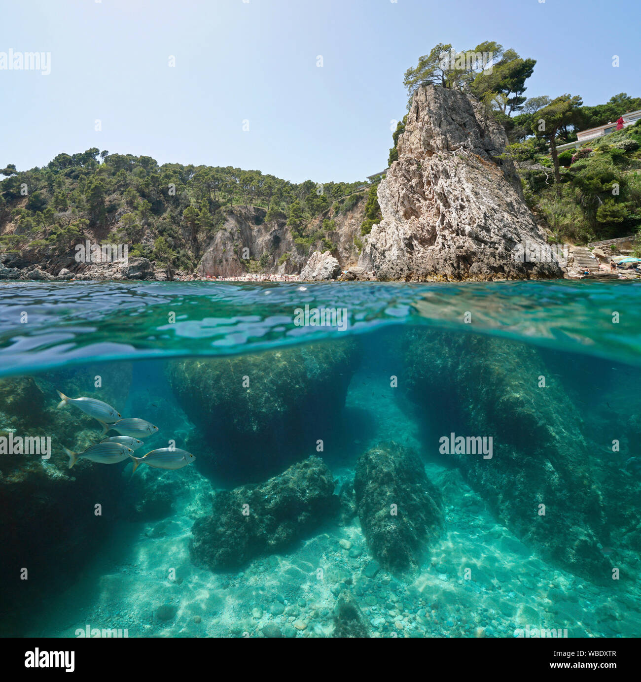 Spanien felsigen Küste mit Felsen und Fisch unter Wasser in der Nähe von Calella de Palafrugell, Costa Brava, Katalonien, Mittelmeer Stockfoto