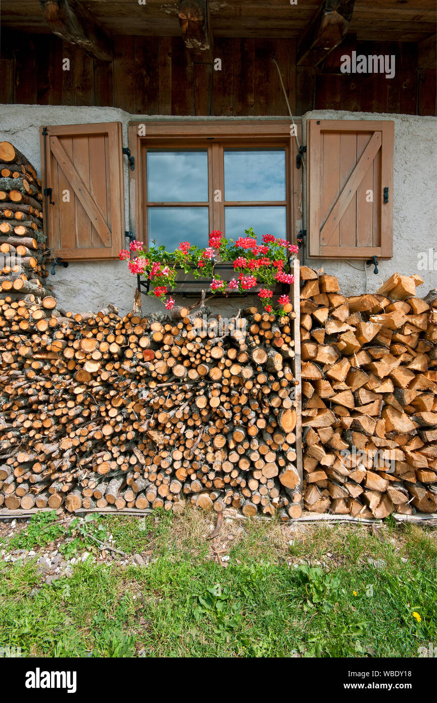 Gehackte Holz für Feuer in Alta Val di Non (Nonstal), Trentino Alto Adige, Italien Stockfoto