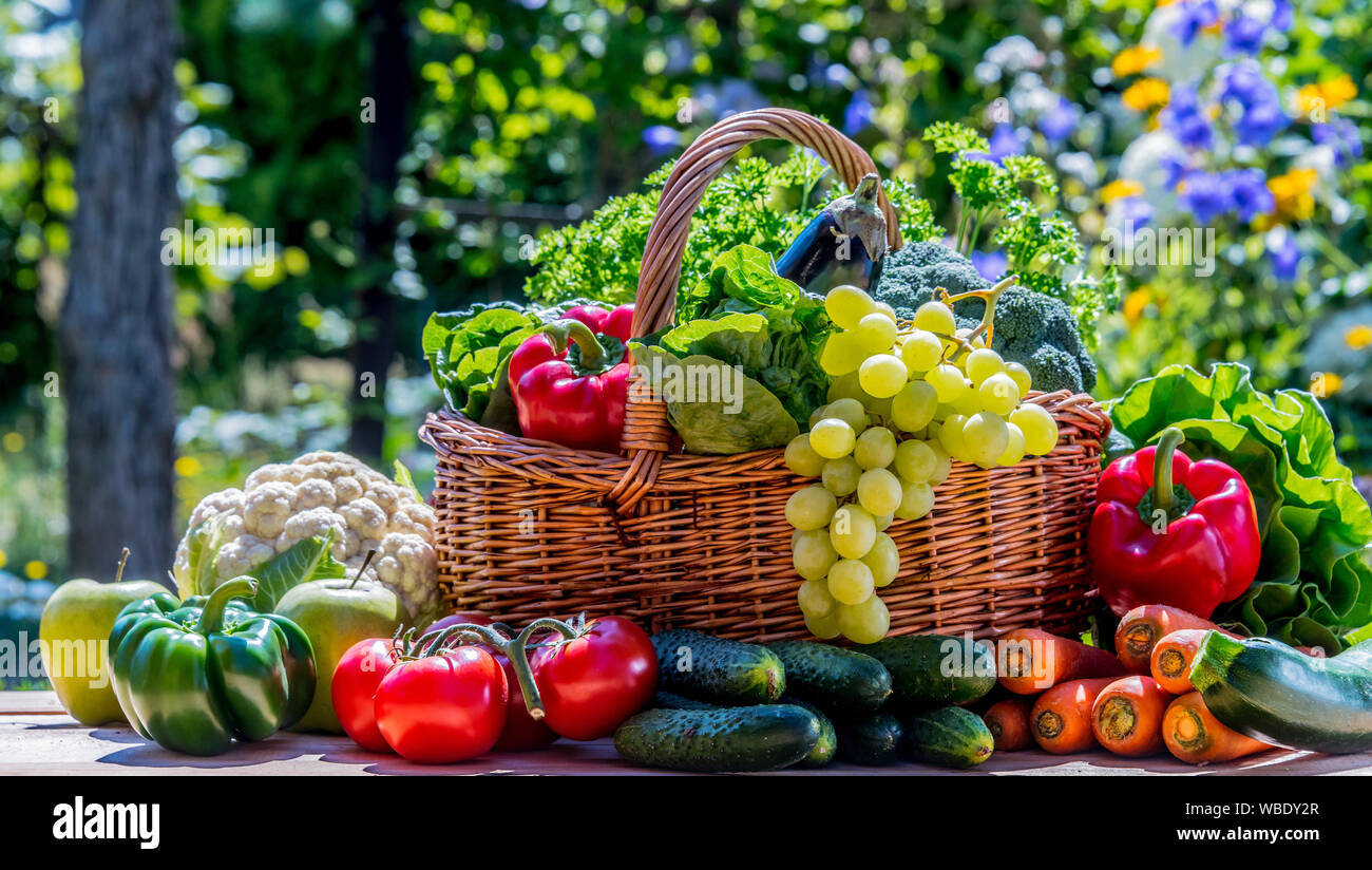 Auswahl an frischem Bio-Gemüse und Obst im Garten. Ausgewogene Ernährung Stockfoto