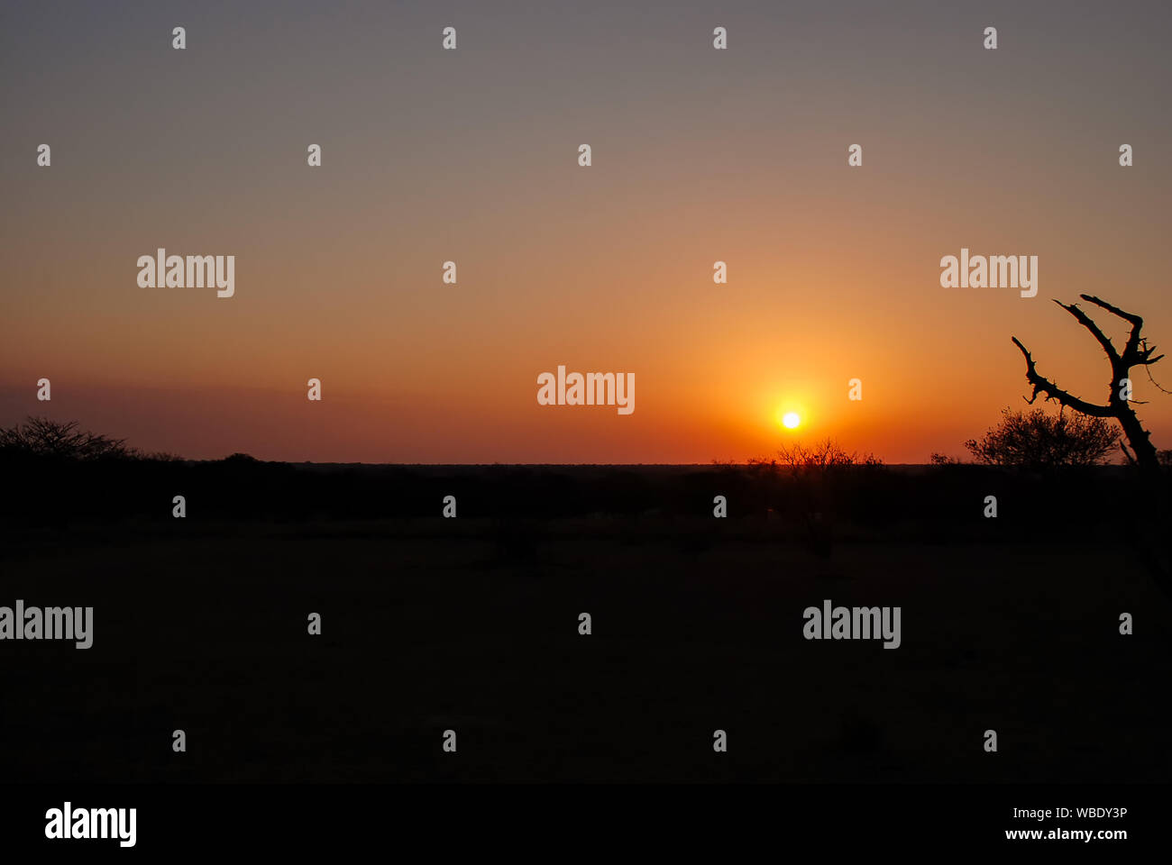 Die Sonne über afrikanische Landschaft in der Provinz Limpopo in Südafrika Stockfoto