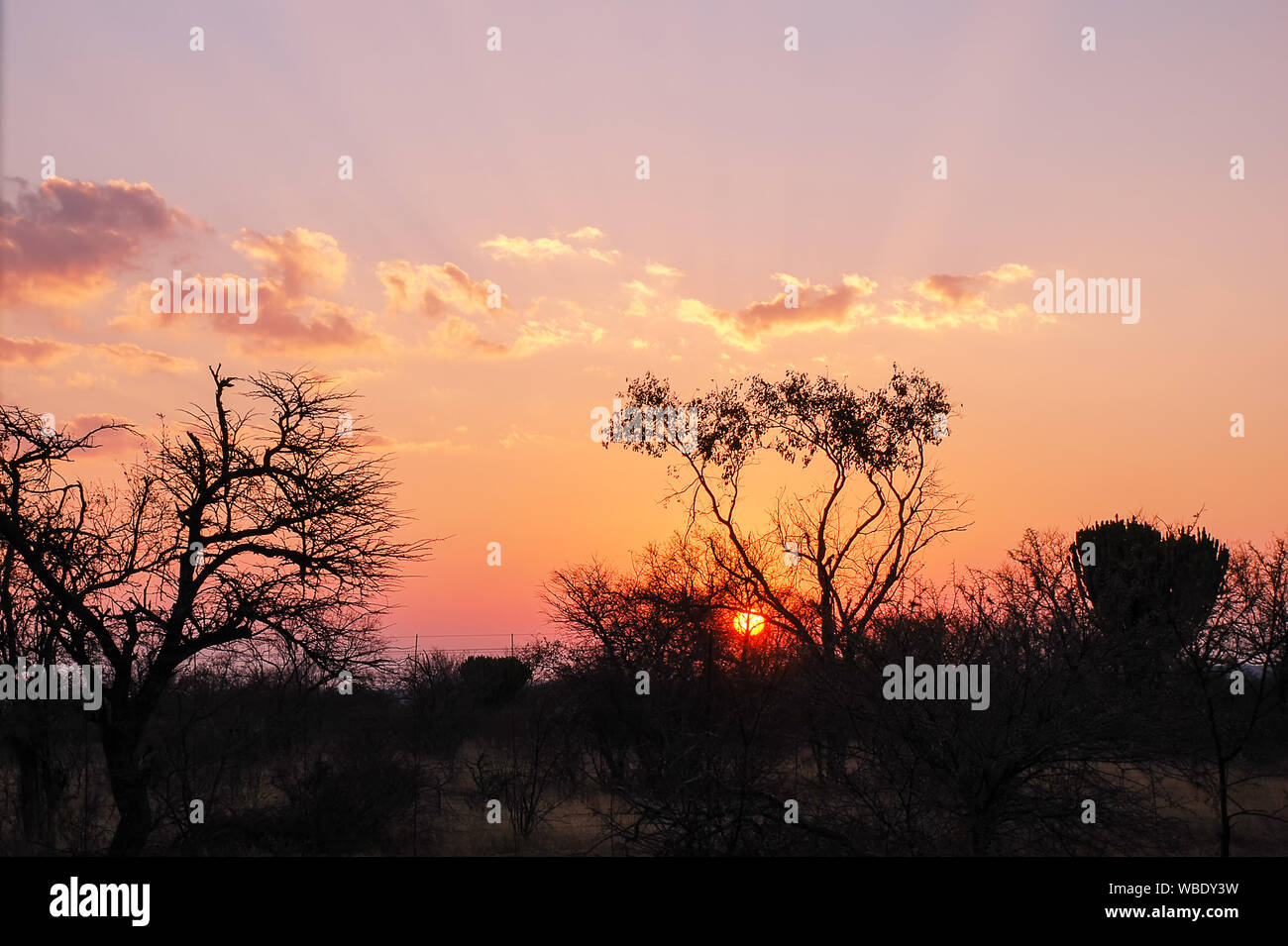 Die Sonne über afrikanische Landschaft in der Provinz Limpopo in Südafrika Stockfoto