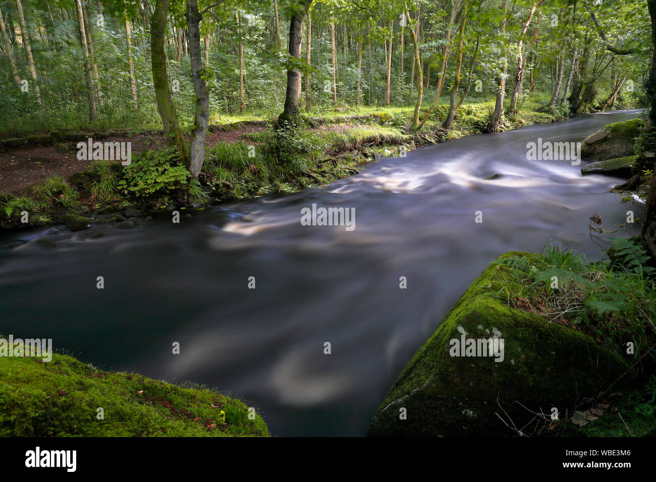 Der Fluss Washburn in North Yorkshire, die eine große Menge von schnell fließendem Wasser durch Wasser aus Thruscross Reservoir entlassen wird. Stockfoto