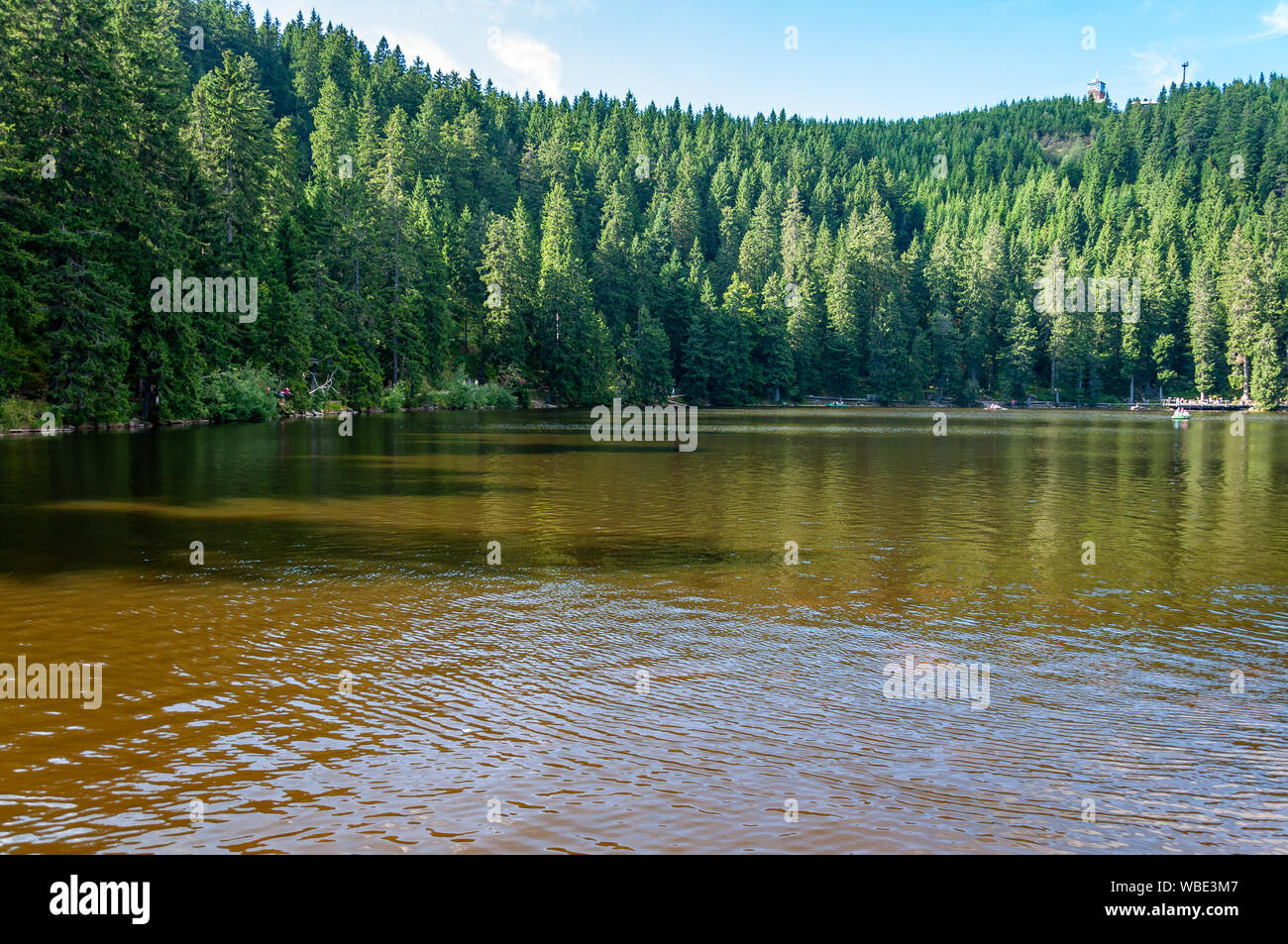 Schwarzwald in Bayern, Deutschland. Unberührte Natur mit Bergen, Wäldern, Seen und bezaubernde Länder. Mummelsee See mit Meerjungfrau. Stockfoto