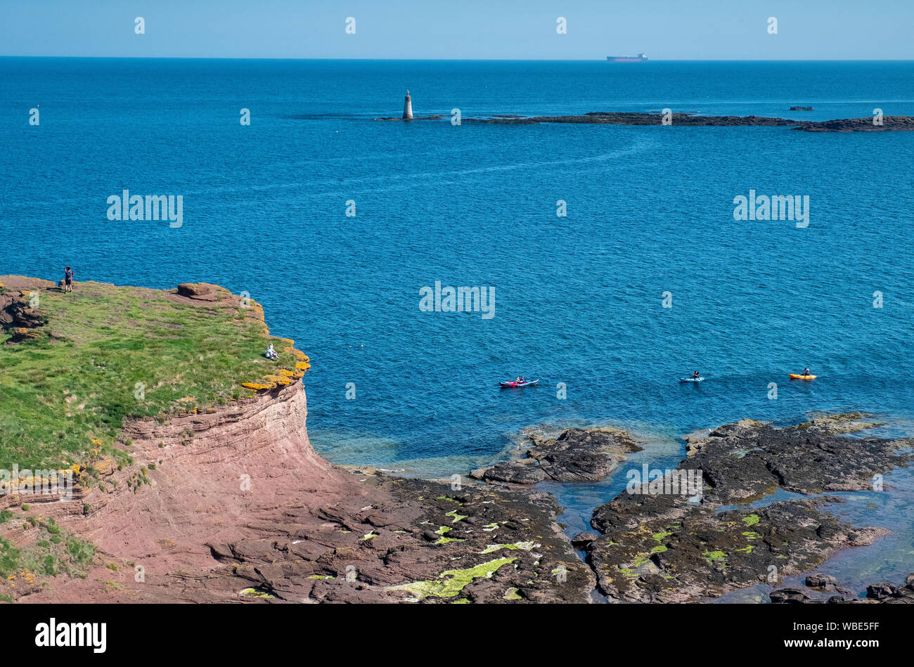 Meer Kajakfahrer in das Meer bei Seacliff, East Lothian, Schottland. Stockfoto