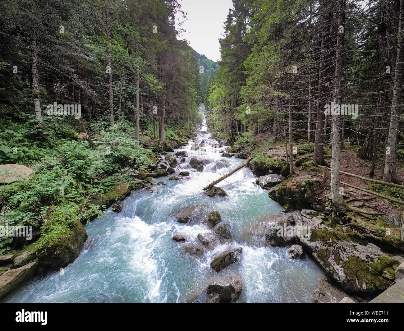 Schnell fließenden Dampf in den italienischen Alpen. Stockfoto