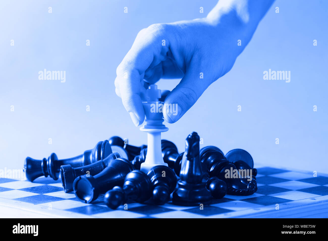 Chess (König gewinnt das Spiel) auf blauem Hintergrund. Den Erfolg, die  Geschäftsstrategie, Sieg, Gewinn, Gewinner, Intellekt, Taktiken,  Niederlage, Schlagen, Klopfen, Schachmatt, l Stockfotografie - Alamy