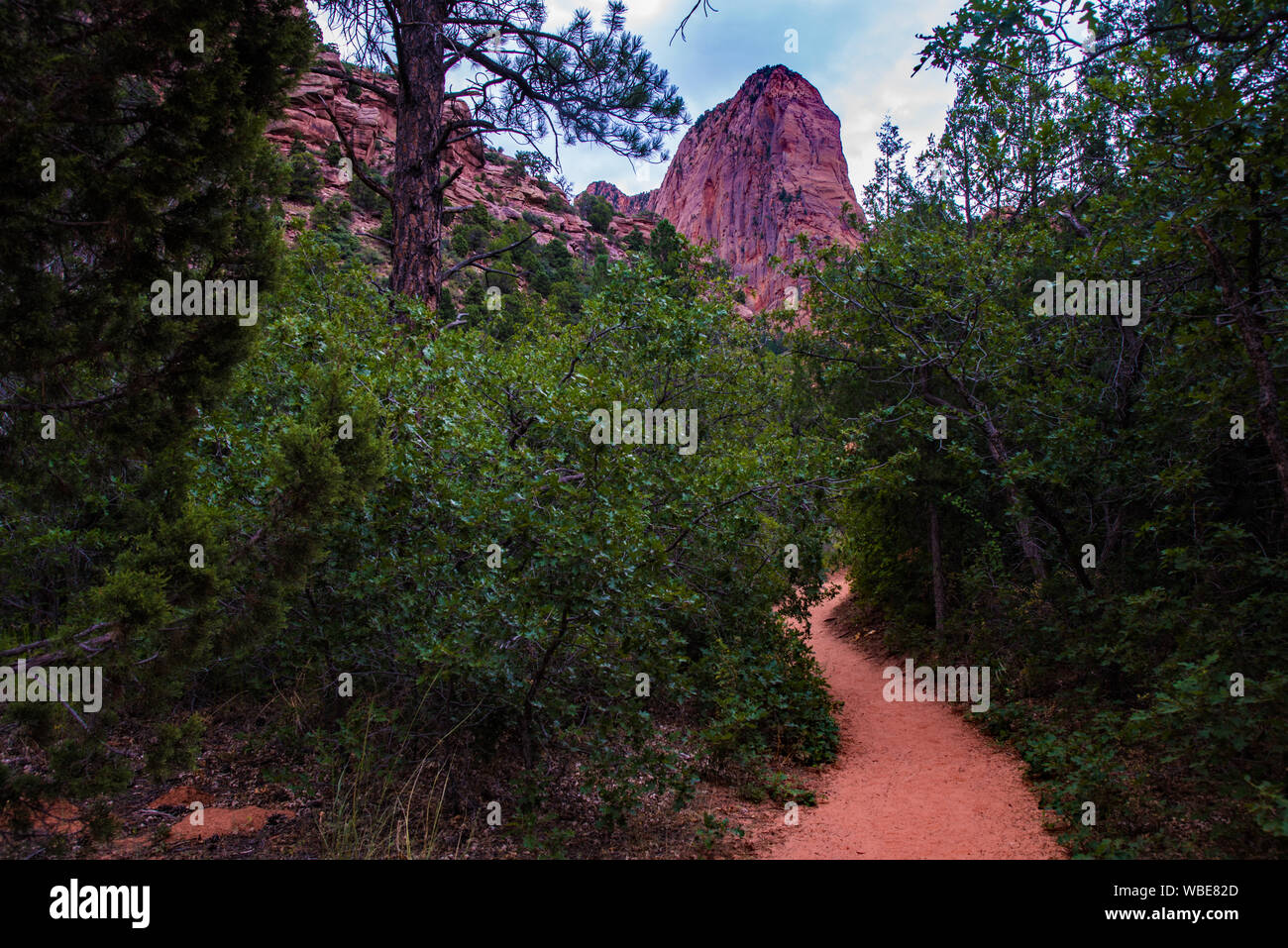 Taylor Creek Trail und Double Arch Alkoven in Zions National Park, UT. USA Stockfoto