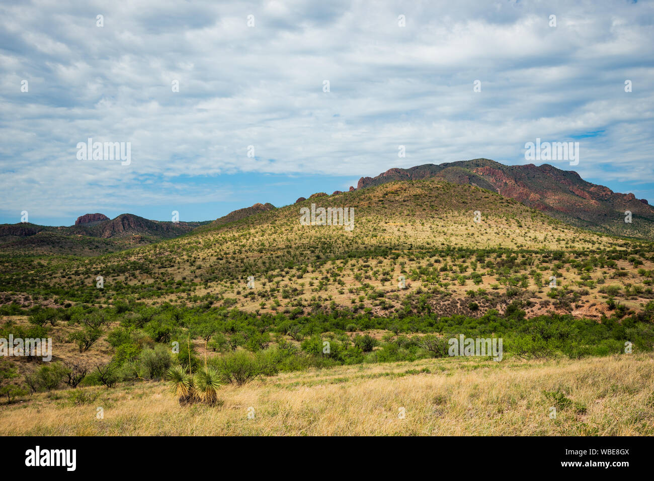Wüstenlandschaft mit einem Berg durch die Lücken zwischen den Wolken am Coronado National Forest in der Nähe von Amado, Arizona beleuchtet. Stockfoto