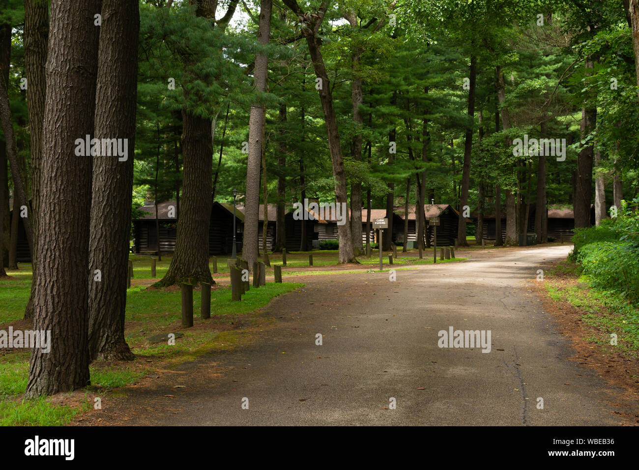 Blockhäuser im Wald. Weiße Kiefern Wald State Park, Illinois, USA Stockfoto