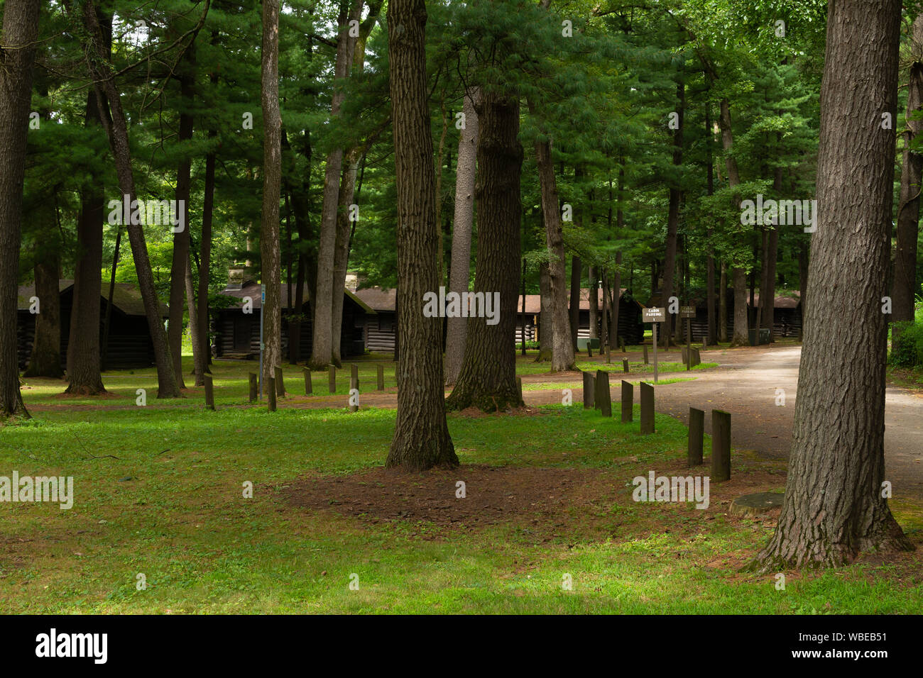 Blockhäuser im Wald. Weiße Kiefern Wald State Park, Illinois, USA Stockfoto