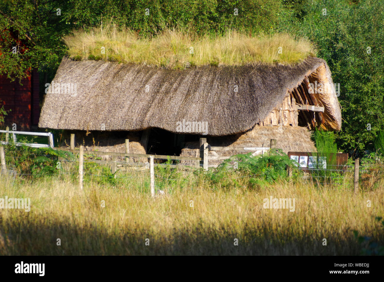 Eine Replik cruck frame Gebäude direkt hinter dem Bunk House an ardess Rowardennan Lodge in der Nähe von Loch Lomond Stockfoto