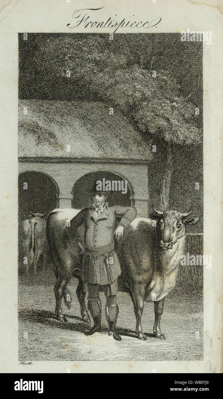 Frontispiz/Howitt. Abstract / Medium: 1 Print: holzstich. Stockfoto