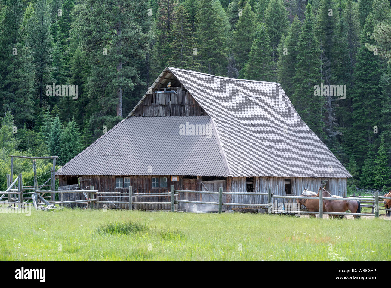 Stall bei Reds Horse Ranch in Oregon Wallowa Mountains. Stockfoto