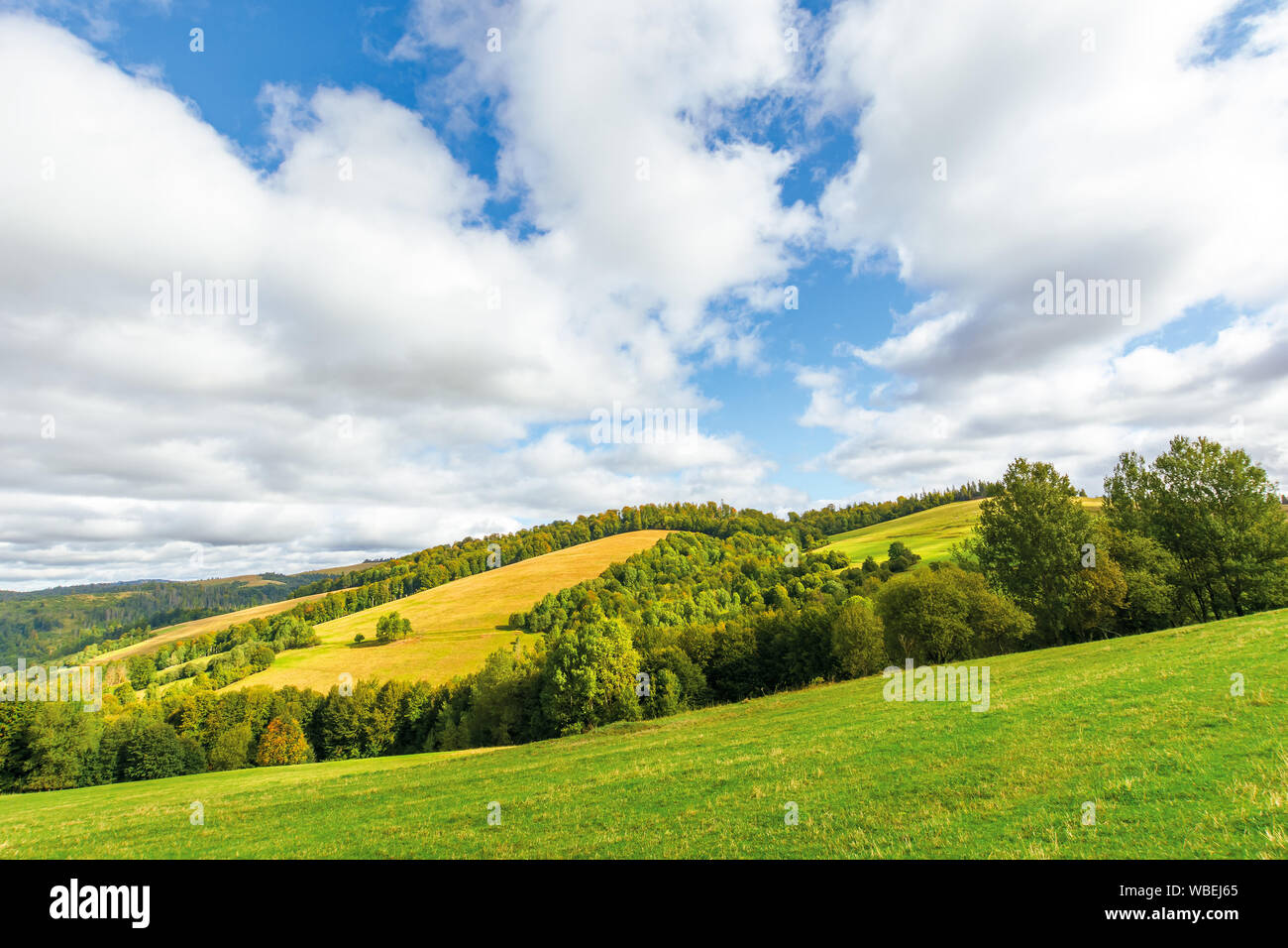 Die schöne Landschaft in Berg. Bäume auf grasbewachsenen Hügeln. sonnigen September wetter mit bewölktem Himmel. Wunderbare Natur Hintergrund Stockfoto