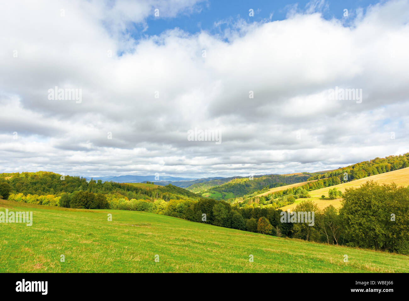 Die schöne Landschaft in Berg. Bäume auf grasbewachsenen Hügeln. sonnigen September wetter mit bewölktem Himmel. Wunderbare Natur Hintergrund Stockfoto
