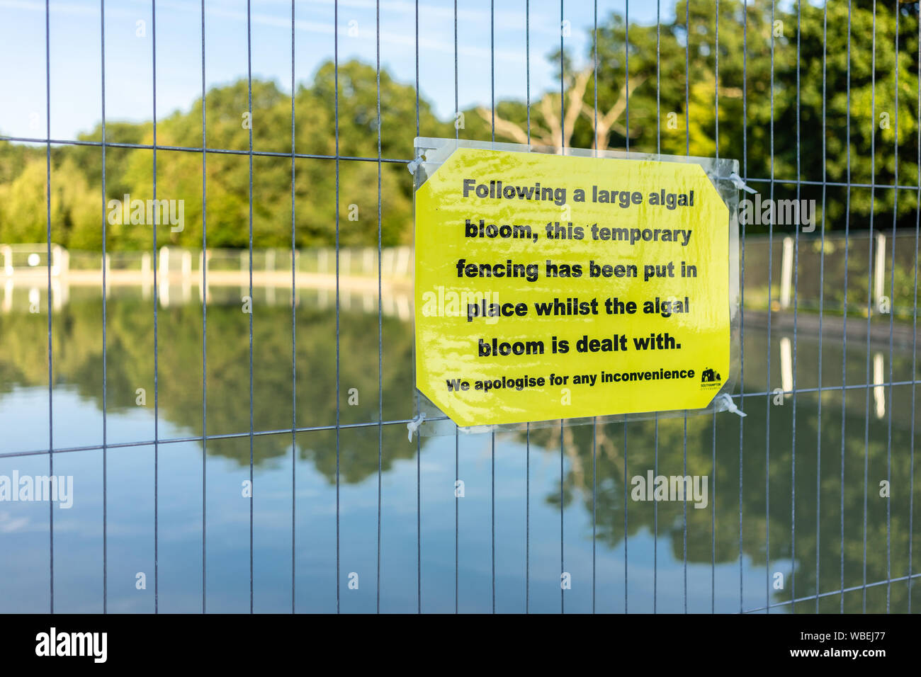 Warnschild und Zaun für die giftige Algenblüte um den Bootsee im Southampton Common Park, Southampton, England, Großbritannien Stockfoto